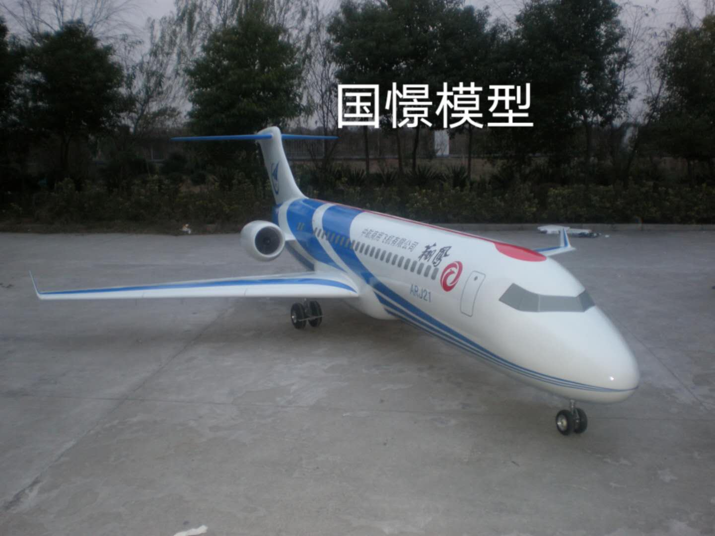 连平县飞机模型