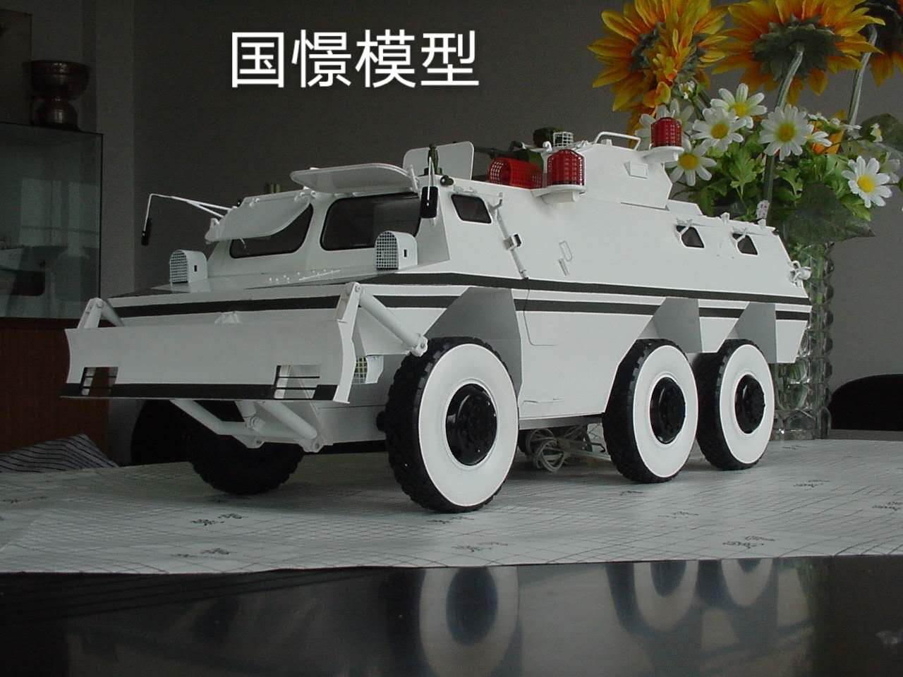 连平县军事模型
